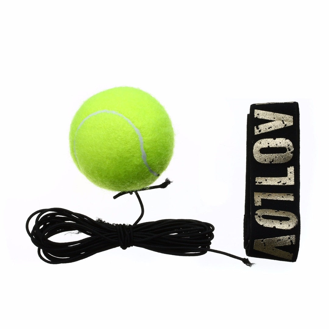 Punch Lab Boxing Reflex Ball