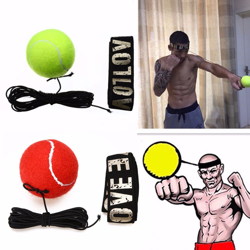 Punch Lab Boxing Reflex Ball