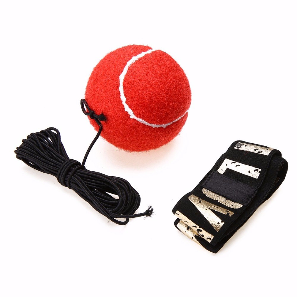 Punch Lab Boxing Reflex Ball