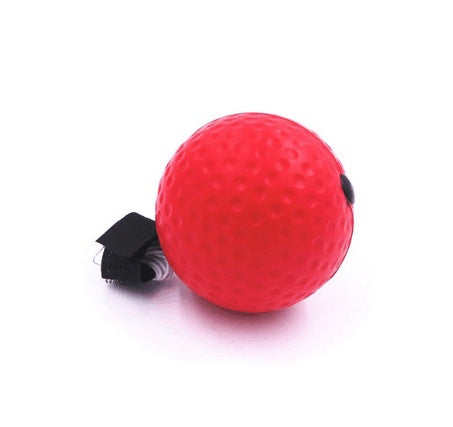 Punch Lab Boxing Reflex Ball